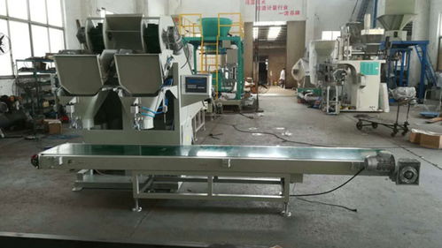 漯河土豆包裝機(jī) 瑞利技術(shù)開發(fā)的創(chuàng)新與報價解析